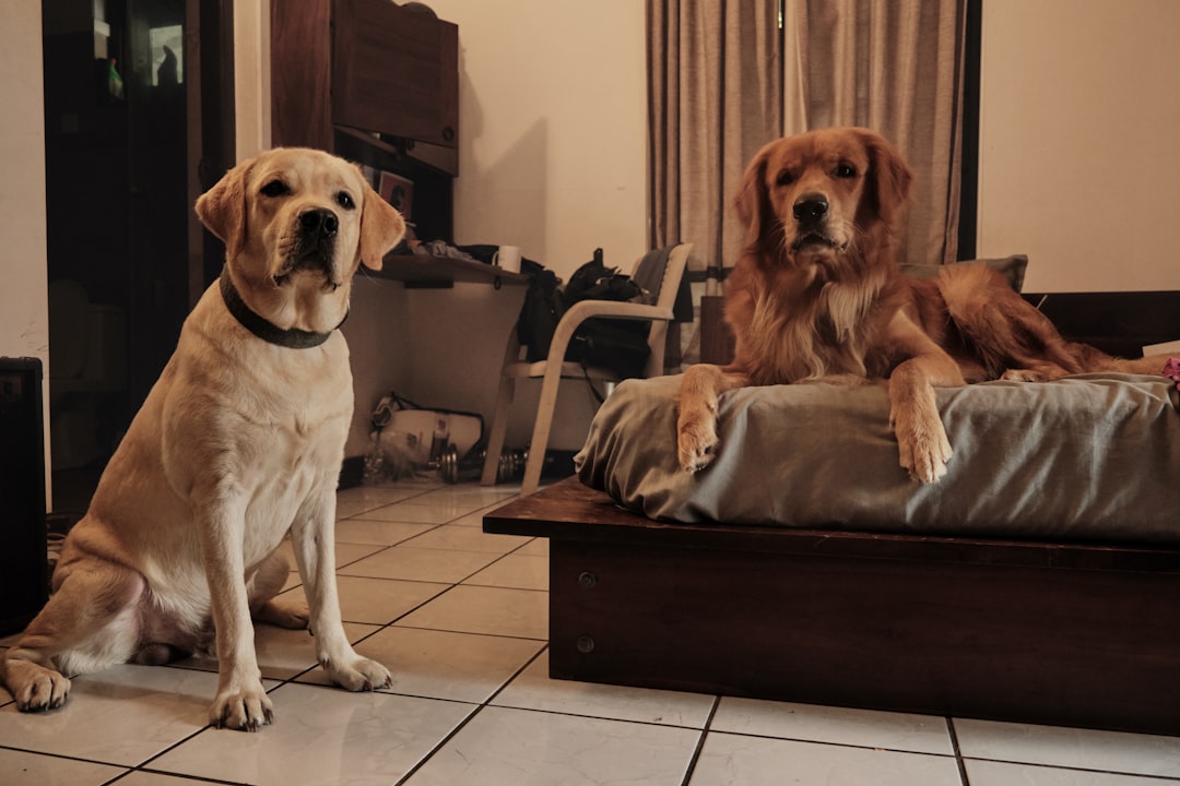 Family enjoying their new home