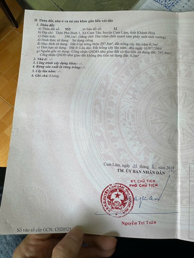 thiết kế nhà chị Sen